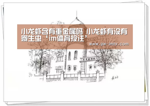 im体育投注